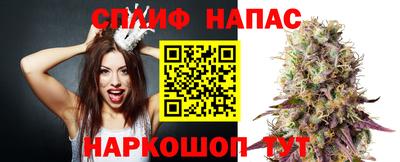 прущий лед Тара