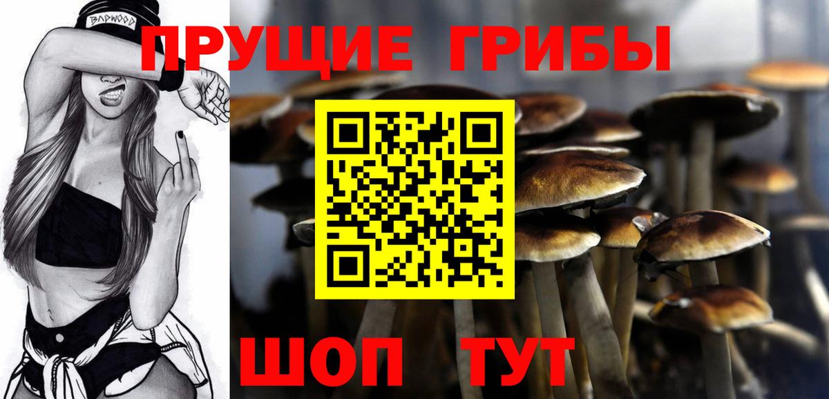 Галлюциногенные грибы мухоморы  что такое наркотик  Щёлково  Вход с VPN  Галлюциногенные грибы ЛСД 